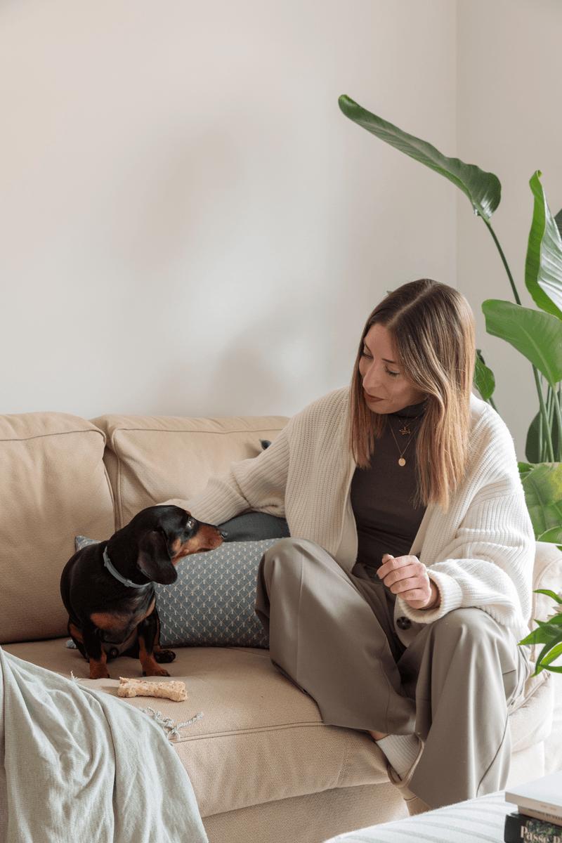 Robert Gerhard - Interior View 24